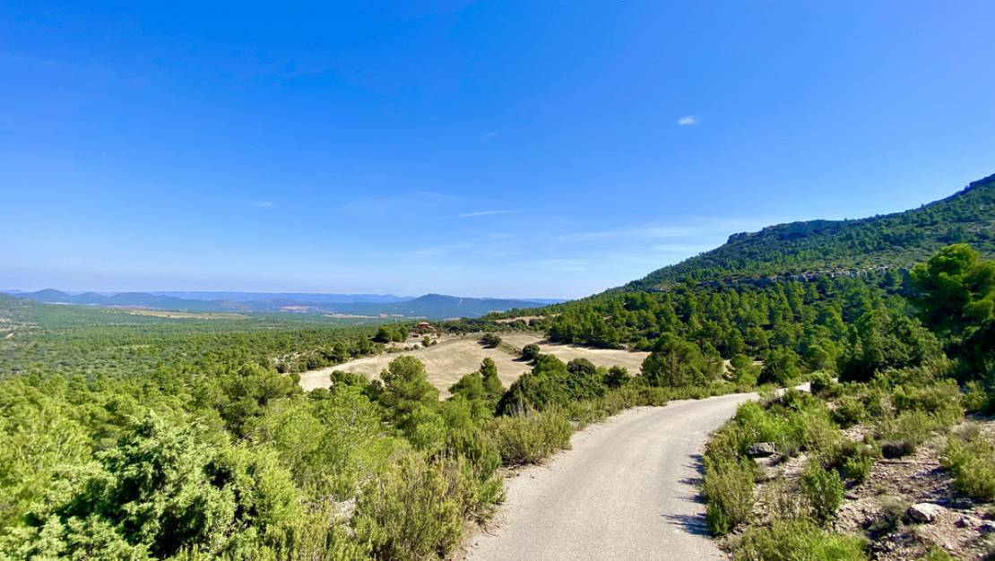 Finca Valencia - Ayora